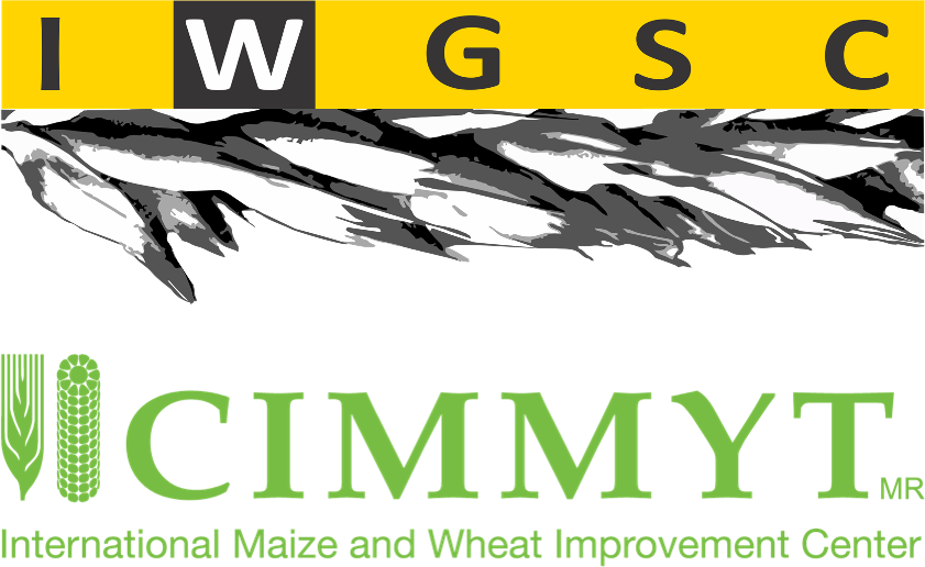 CIMMYT Joins the International Wheat Genome Sequencing Consortium